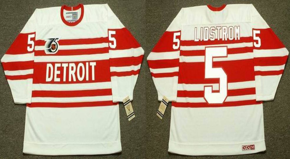 2019 Men Detroit Red Wings #5 Lidstrom White CCM NHL jerseys2->detroit red wings->NHL Jersey